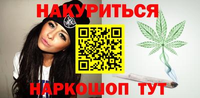 крисы Новодвинск