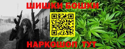 сатива Новозыбков