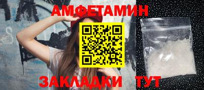 сатива Новозыбков