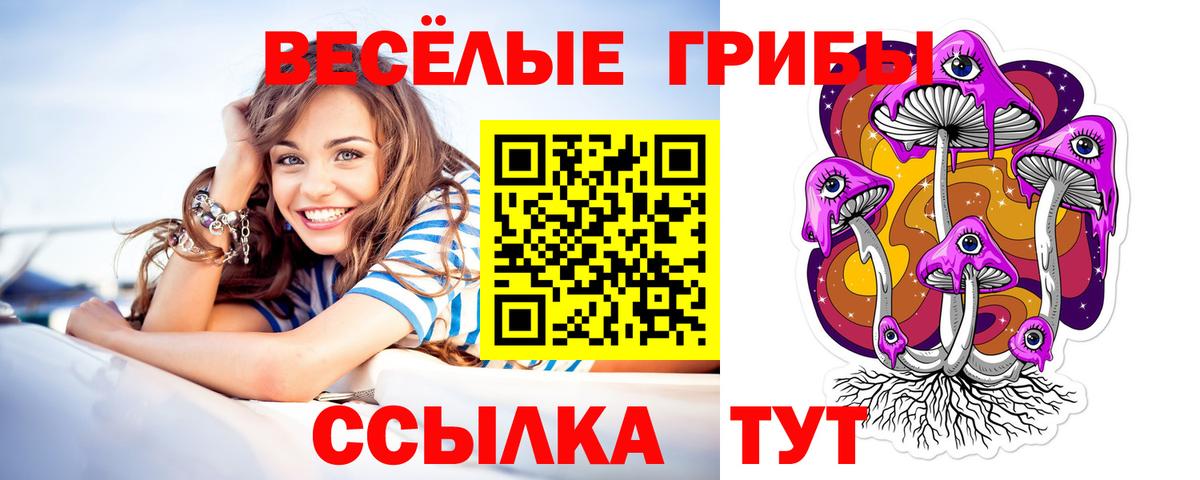 Саранск  где можно купить   Псилоцибиновые грибы мицелий  Вход с VPN  Псилоцибиновые грибы Magic Shrooms 